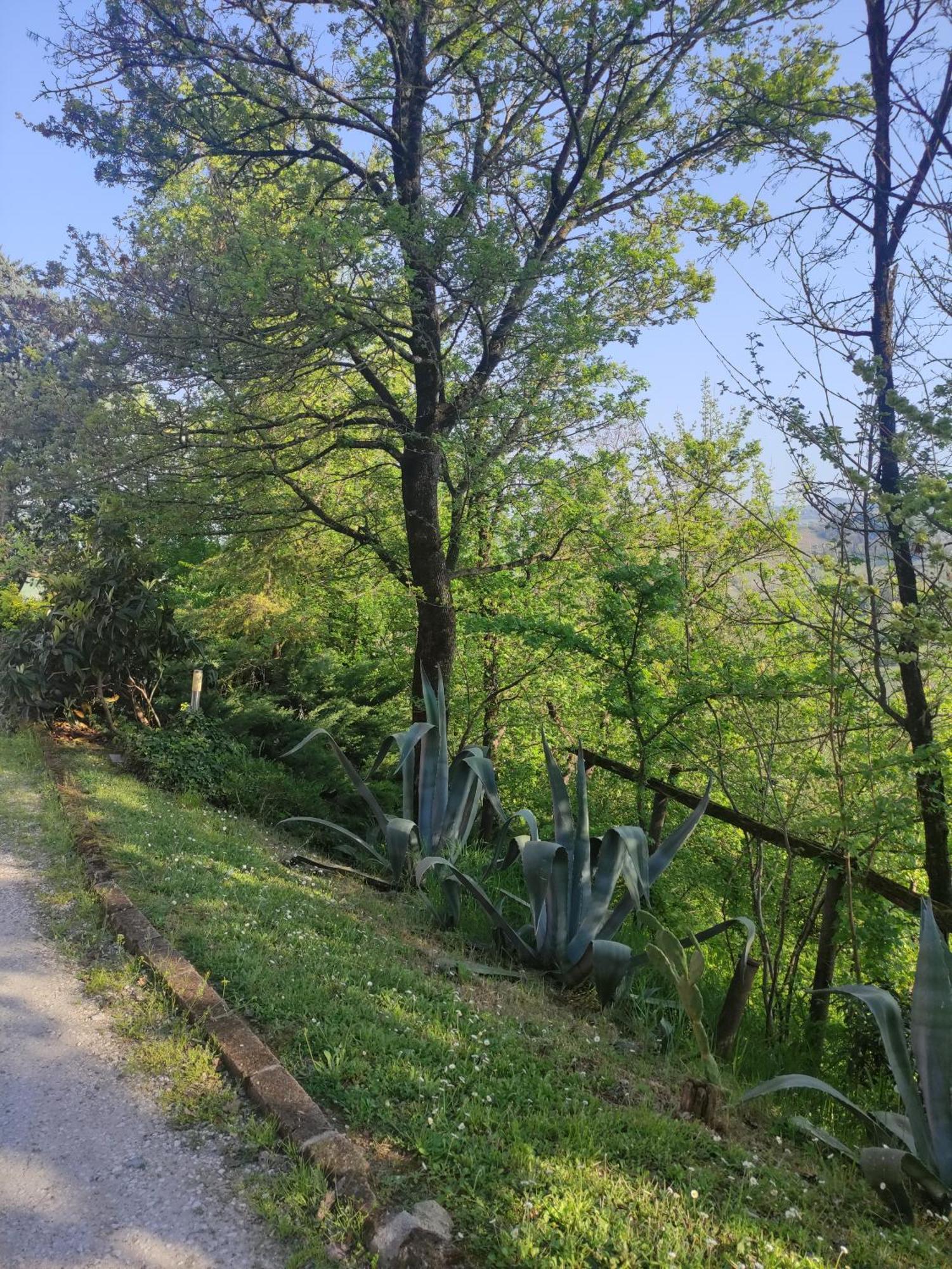 Bed and Breakfast La Pergola Becedasco Zewnętrze zdjęcie